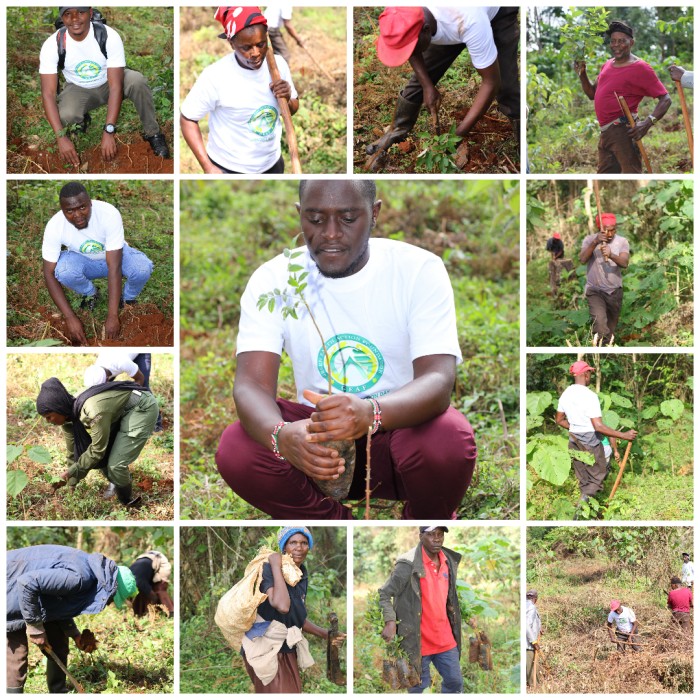 Hero warriors collage