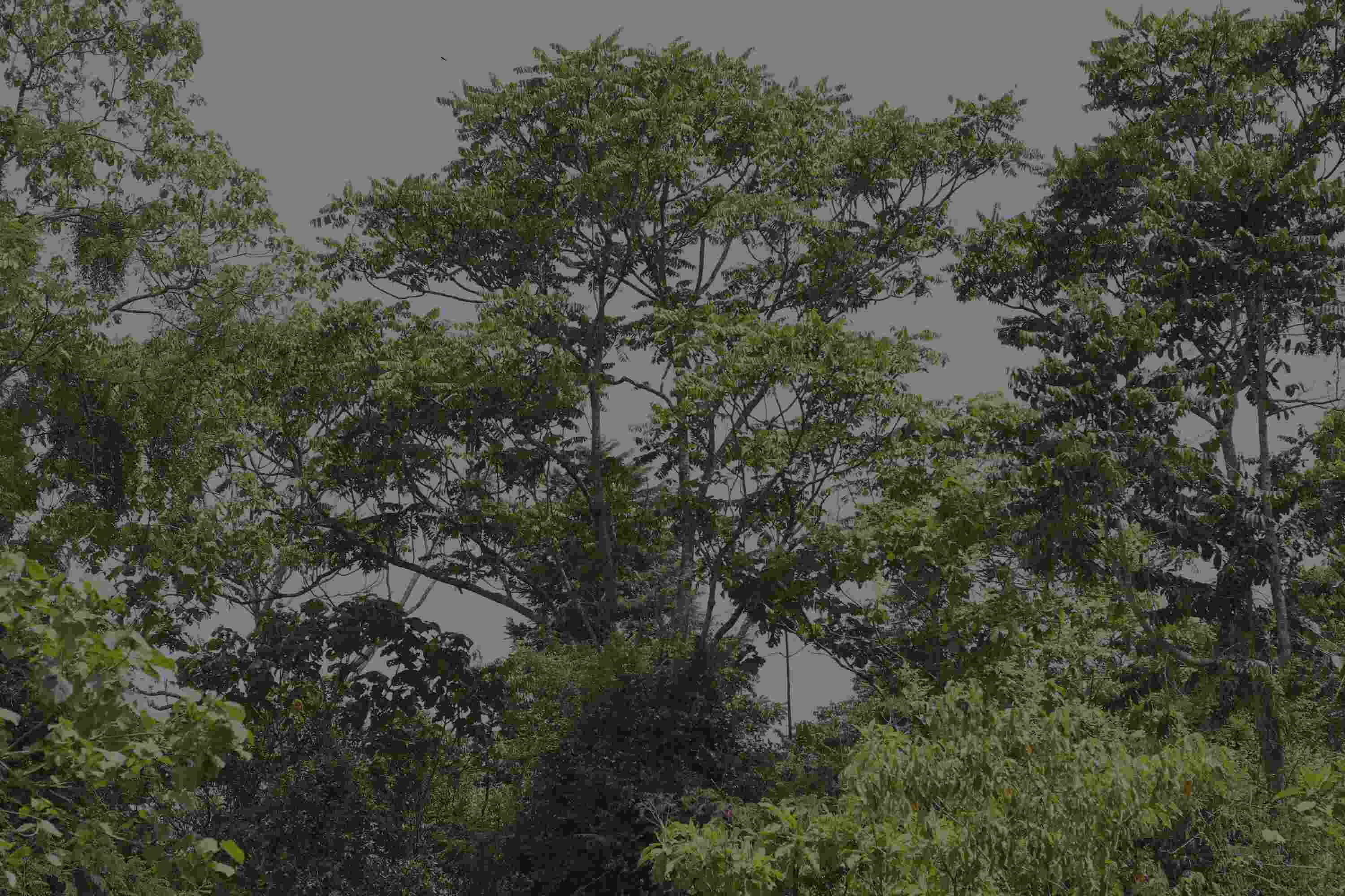 Members posing for image