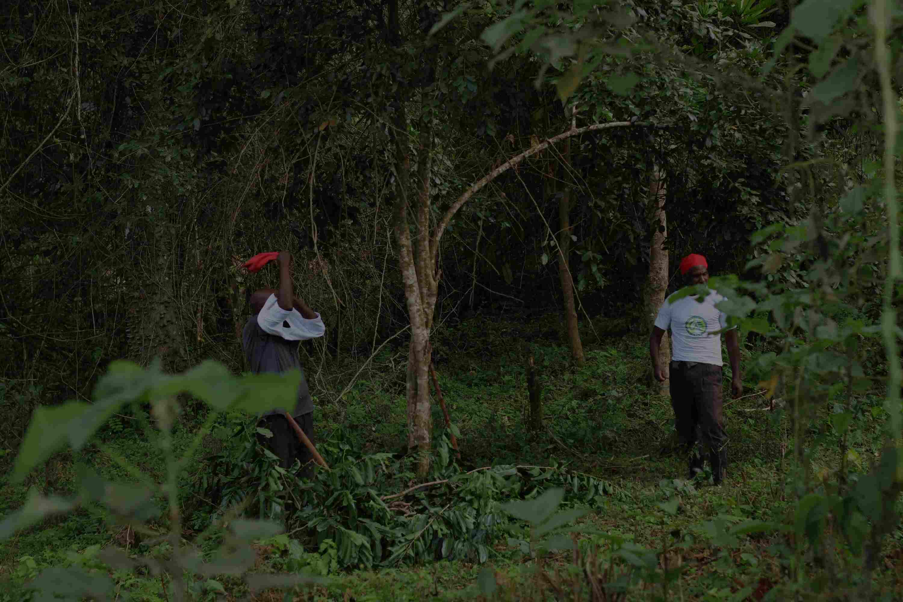 Water conservation efforts