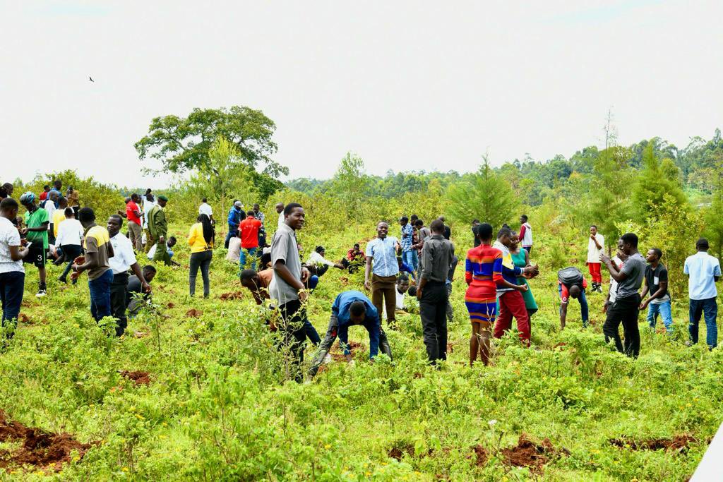 Community Tree Planting