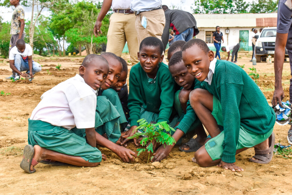 School Greening & Environmental Education