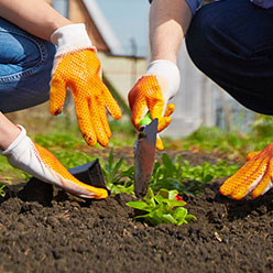 Volunteer Engagement Program