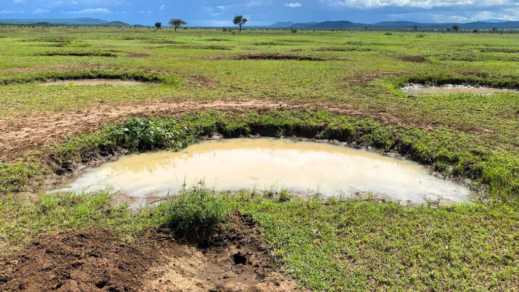 Riparian & Water Catchment Restoration